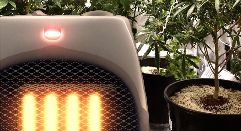 Best Grow Tent Heaters - Buyer's Guide | DRCANNABIS.IO